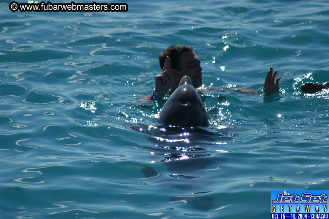 Saturday'sDolphin Swim Adventure and Animal Encounter 2004