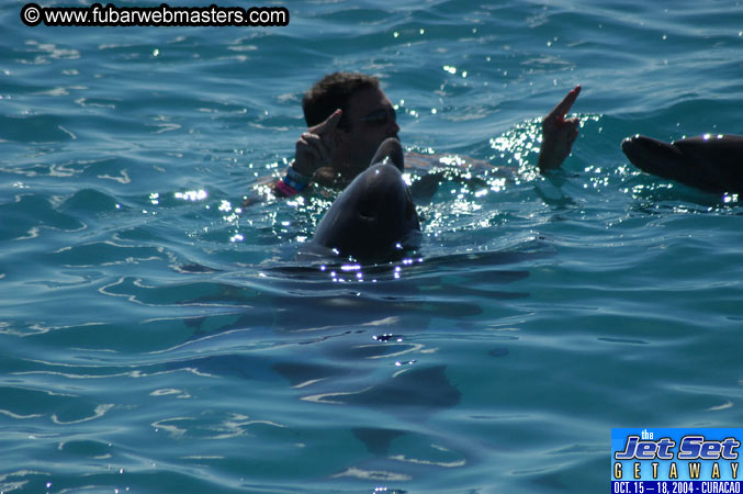 Saturday'sDolphin Swim Adventure and Animal Encounter 2004