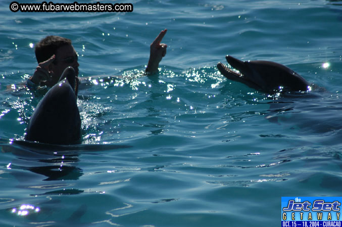 Saturday'sDolphin Swim Adventure and Animal Encounter 2004