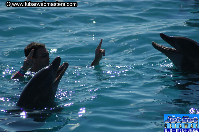 Saturday'sDolphin Swim Adventure and Animal Encounter 2004