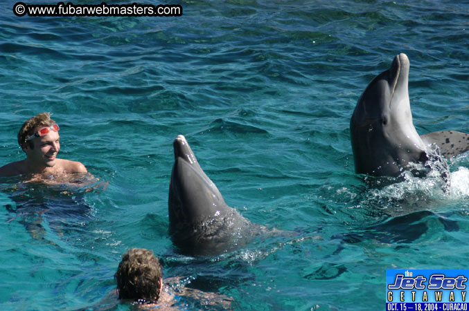 Saturday'sDolphin Swim Adventure and Animal Encounter 2004