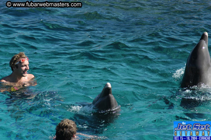 Saturday'sDolphin Swim Adventure and Animal Encounter 2004