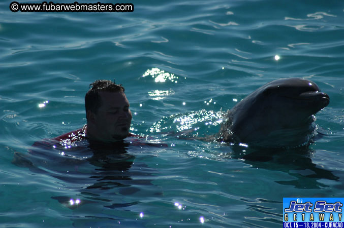 Saturday'sDolphin Swim Adventure and Animal Encounter 2004