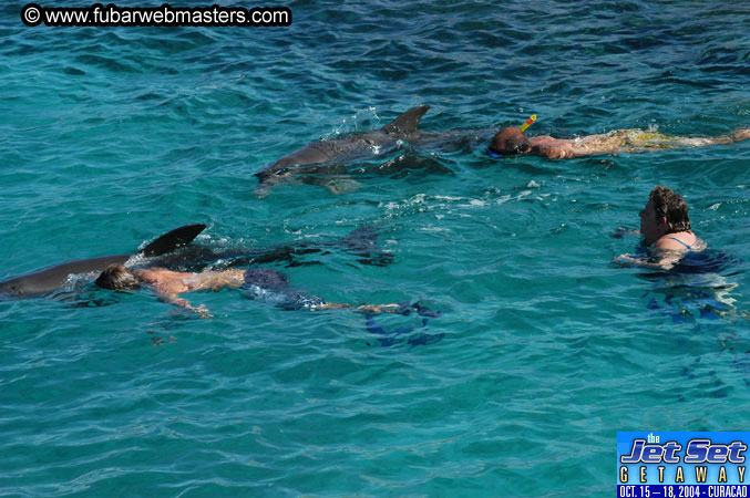Saturday'sDolphin Swim Adventure and Animal Encounter 2004