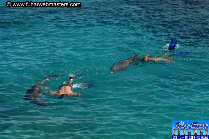 Saturday'sDolphin Swim Adventure and Animal Encounter 2004