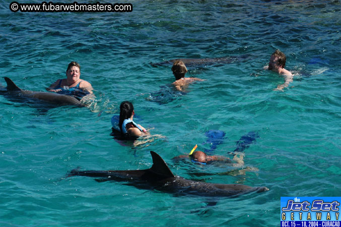 Saturday'sDolphin Swim Adventure and Animal Encounter 2004