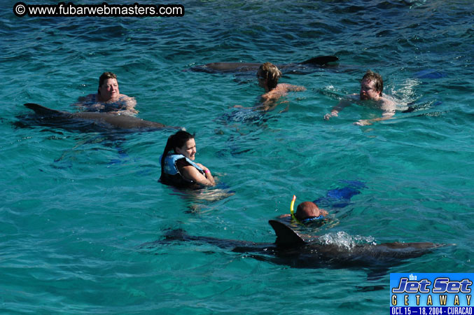 Saturday'sDolphin Swim Adventure and Animal Encounter 2004