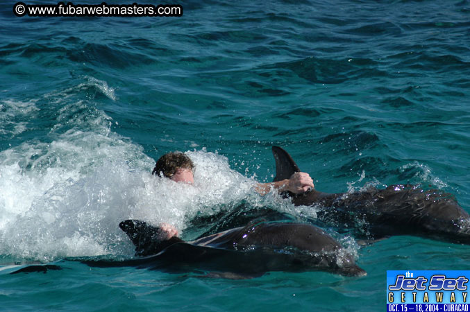 Saturday'sDolphin Swim Adventure and Animal Encounter 2004