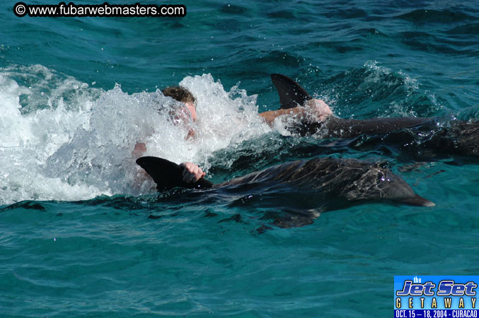 Saturday'sDolphin Swim Adventure and Animal Encounter 2004