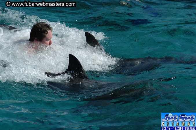 Saturday'sDolphin Swim Adventure and Animal Encounter 2004