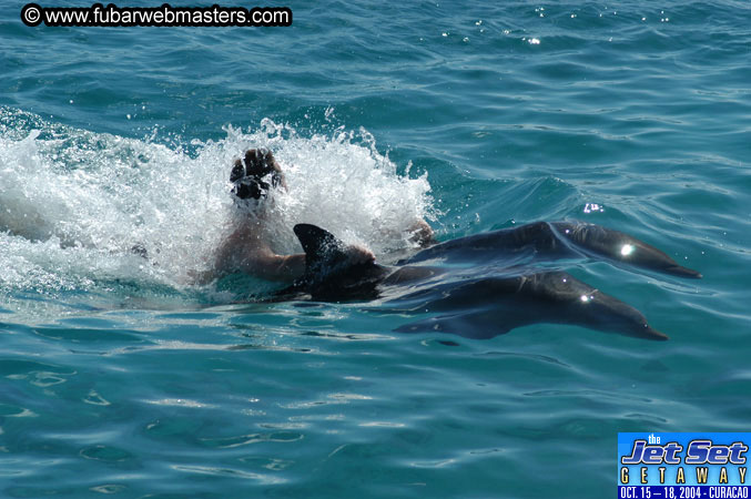 Saturday'sDolphin Swim Adventure and Animal Encounter 2004