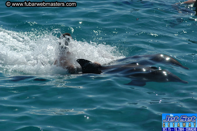 Saturday'sDolphin Swim Adventure and Animal Encounter 2004