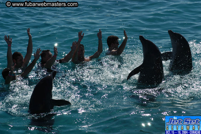 Saturday'sDolphin Swim Adventure and Animal Encounter 2004