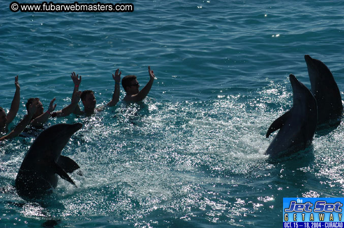 Saturday'sDolphin Swim Adventure and Animal Encounter 2004