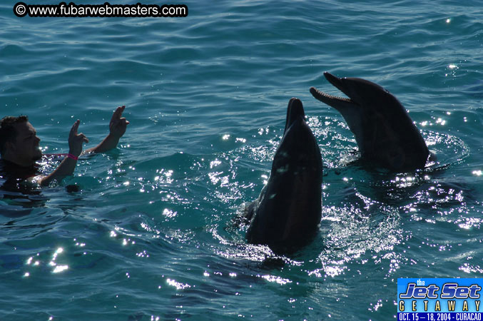 Saturday'sDolphin Swim Adventure and Animal Encounter 2004