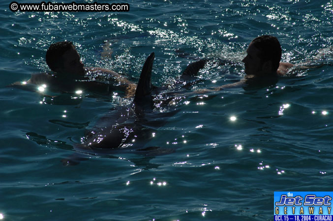 Saturday'sDolphin Swim Adventure and Animal Encounter 2004