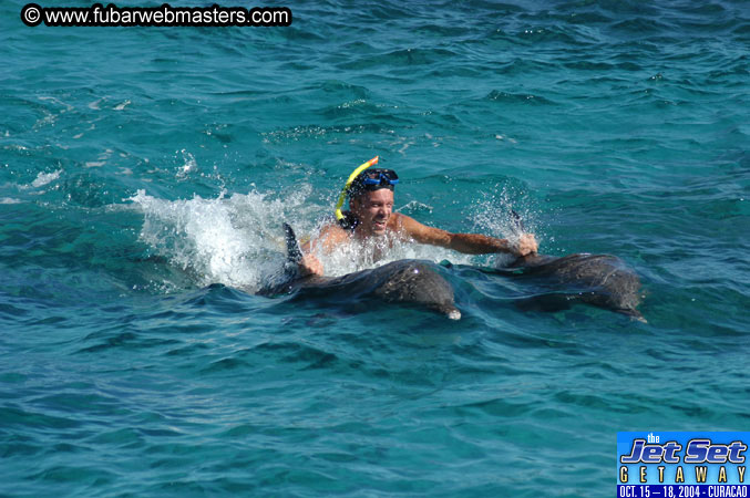 Saturday'sDolphin Swim Adventure and Animal Encounter 2004