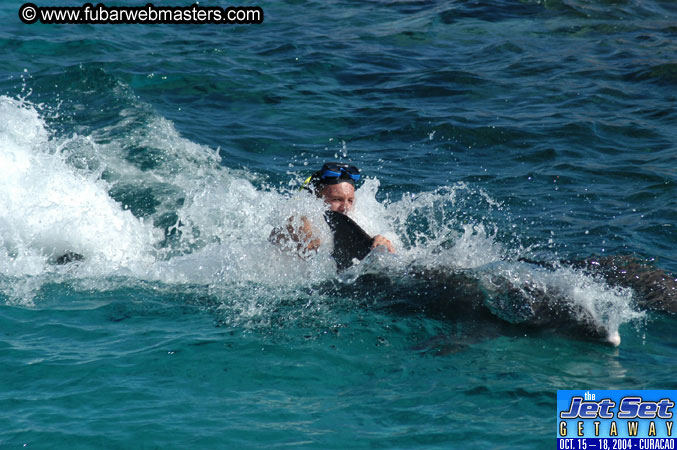 Saturday'sDolphin Swim Adventure and Animal Encounter 2004