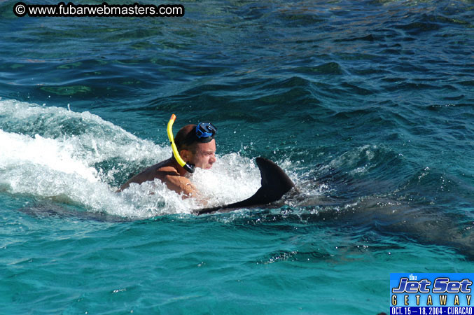 Saturday'sDolphin Swim Adventure and Animal Encounter 2004