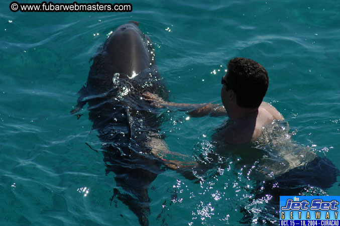 Saturday'sDolphin Swim Adventure and Animal Encounter 2004