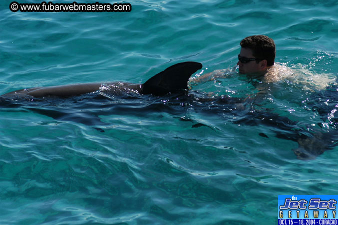 Saturday'sDolphin Swim Adventure and Animal Encounter 2004
