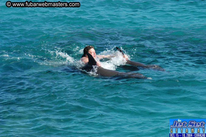 Saturday'sDolphin Swim Adventure and Animal Encounter 2004