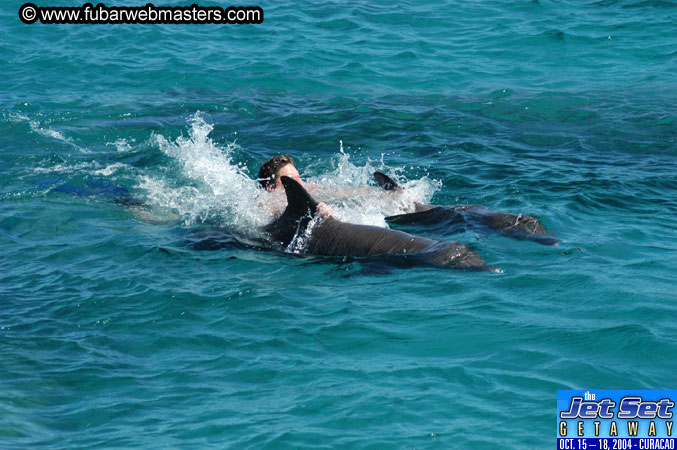 Saturday'sDolphin Swim Adventure and Animal Encounter 2004