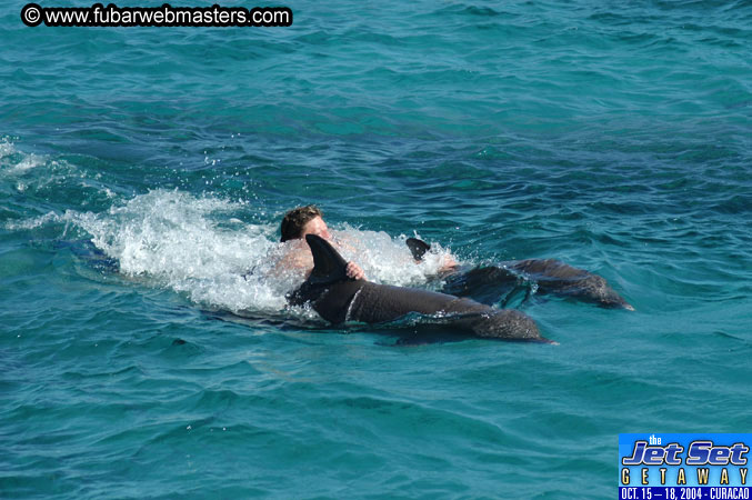 Saturday'sDolphin Swim Adventure and Animal Encounter 2004