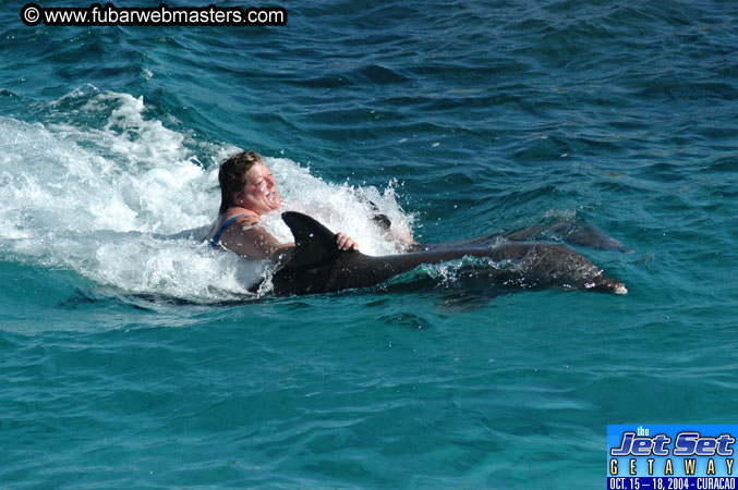 Saturday'sDolphin Swim Adventure and Animal Encounter 2004