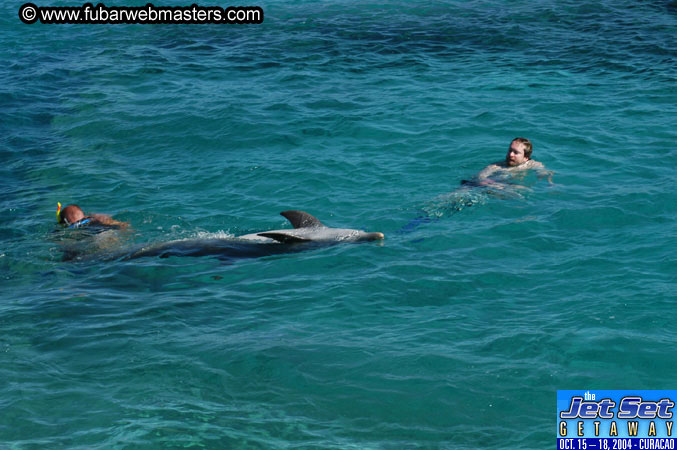 Saturday'sDolphin Swim Adventure and Animal Encounter 2004