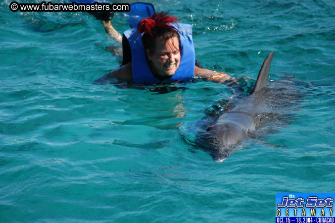 Saturday'sDolphin Swim Adventure and Animal Encounter 2004