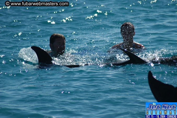 Saturday'sDolphin Swim Adventure and Animal Encounter 2004