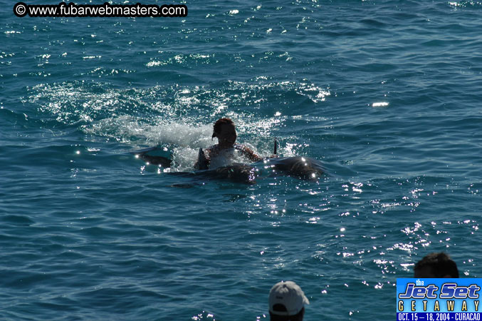 Saturday'sDolphin Swim Adventure and Animal Encounter 2004