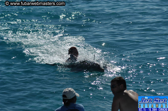 Saturday'sDolphin Swim Adventure and Animal Encounter 2004