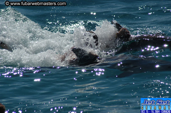 Saturday'sDolphin Swim Adventure and Animal Encounter 2004