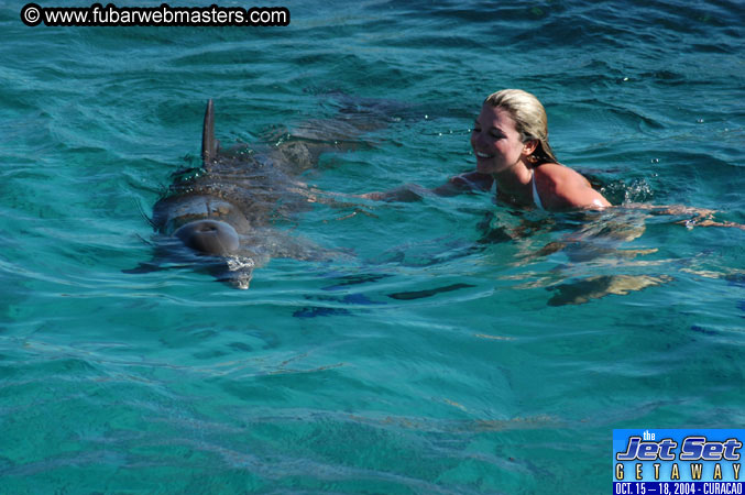 Saturday'sDolphin Swim Adventure and Animal Encounter 2004