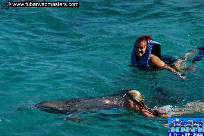 Saturday'sDolphin Swim Adventure and Animal Encounter 2004