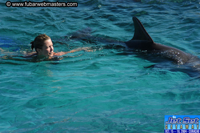 Saturday'sDolphin Swim Adventure and Animal Encounter 2004