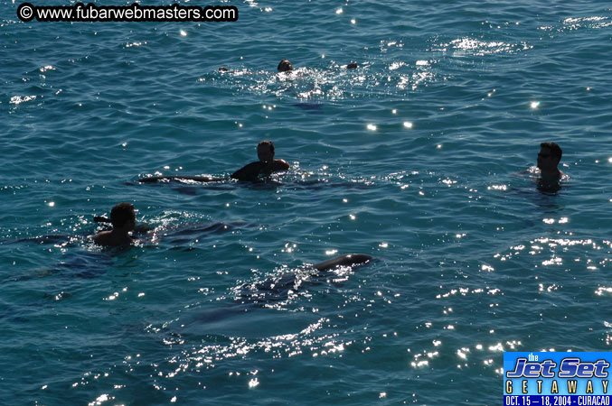 Saturday'sDolphin Swim Adventure and Animal Encounter 2004