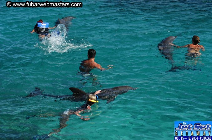 Saturday'sDolphin Swim Adventure and Animal Encounter 2004
