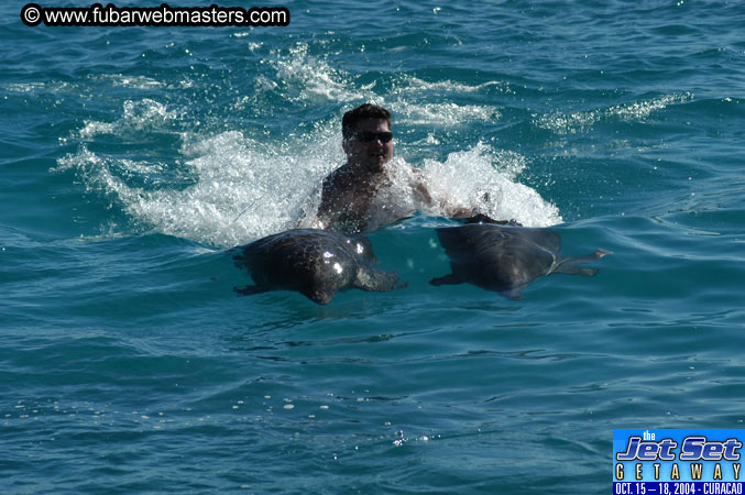Saturday'sDolphin Swim Adventure and Animal Encounter 2004