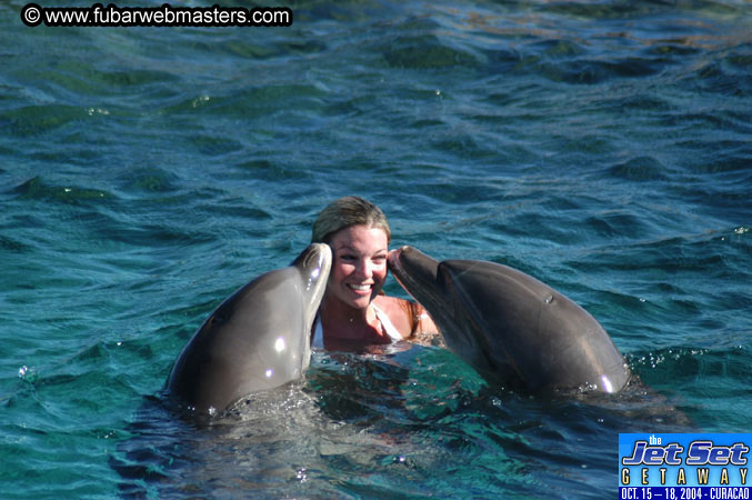 Saturday'sDolphin Swim Adventure and Animal Encounter 2004