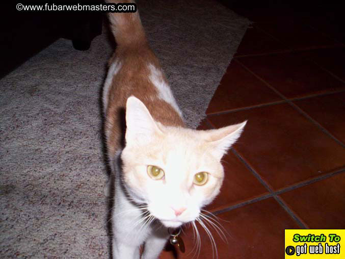 Rochard and Punker Barbie's Birthday Bash 2005