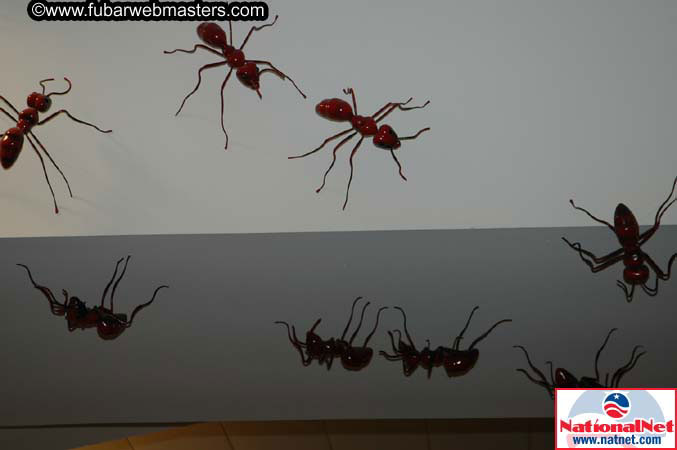 Thursday, Sept 8, 2005 2005