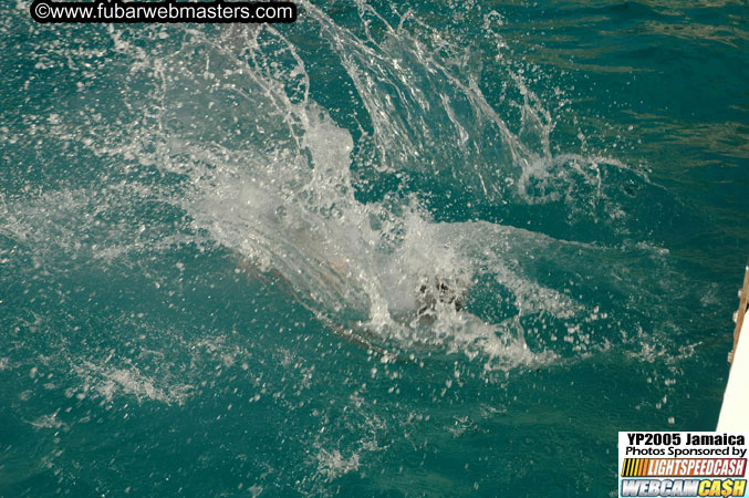 Afternoon Catamaran Cruise 2005