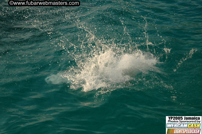 Afternoon Catamaran Cruise 2005