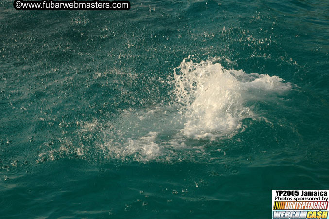 Afternoon Catamaran Cruise 2005