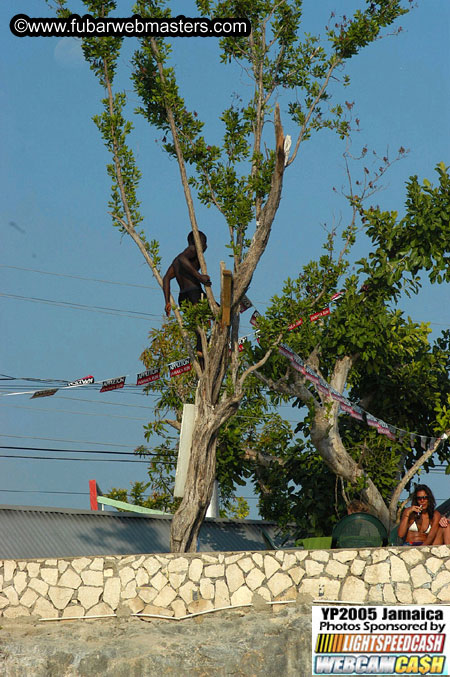 Afternoon Catamaran Cruise 2005