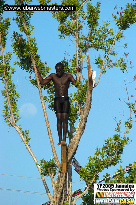 Afternoon Catamaran Cruise 2005