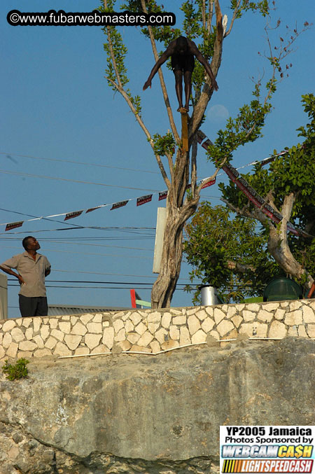 Afternoon Catamaran Cruise 2005